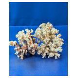 Decorative Natural Coral Specimen Lot