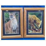 Framed Big Cat Prints
