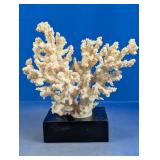 Faux Coral Plaster Decor on Black Base