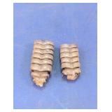 2 Authentic Rattlesnake Rattles
