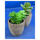 Artificial Faux Succulents in Pots