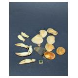 Seashell and Crab Claw Assortment