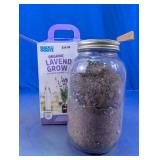 Organic Lavender Planter Grow Kit
