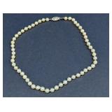 Genuine Pearl Necklace Strand