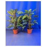 Artificial Pothos Plants with Moss Pole