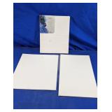 Fredrix & Winsor & Newton Artist Canvas Set