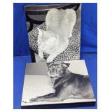 B&W Cat and Dog Canvas Wall Art