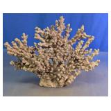 Coral Reef Decorative Sculpture