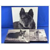 Black & White Dog Canvas Wall Art Assortment