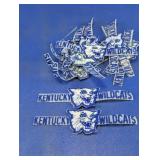 Bulk Kentucky Wildcats Embroidered Patches Lot