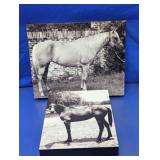 Black & White Horse Canvas Wall Art Set