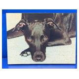 Black Dog Canvas Print Wall Art