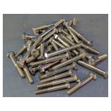 Bulk Lot Assorted Stainless Steel Hex Bolts Lot