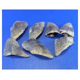 Curved Fossil Specimen Pieces