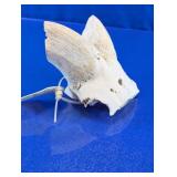 Large Bone Specimen Display Piece