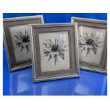 Framed Black And White Floral Prints Set