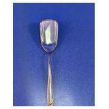 Metal Serving Spoon