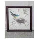 Vintage Framed Bird & Nest Postcard Wall Art