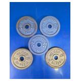 5 LB Weight Plate Assortment