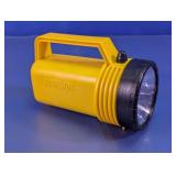 Eveready Lantern Flashlight With Battery