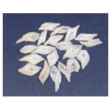 20 Alligator Gar Fish White Scales