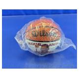 Michael Jordan Wilson Mini Basketball