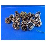 Assorted Natural Pinecones Craft Lot