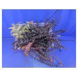 Assorted Dried Eucalyptus Branches & Faux Ferns