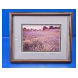 Framed Harry Bowden Bluebonnet Scene Photograph