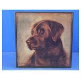 Framed Chocolate Labrador Dog Portrait
