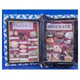 Vtg Fossils & Minerals Book Style Display Case