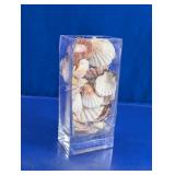 Clear Glass Vase With Assorted Seashells