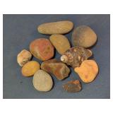 Assorted Stones & Seashell Collection Set