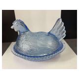 Indiana Cornflower Blue Hen on Nest