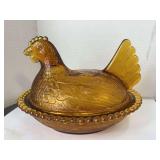 Amber Hen on Nest