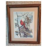 Jean Cator Cardinal Print in Wood Frame
