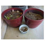 Large Maroon Planters and One Floral Ceramic Bowl with Stones
