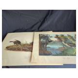 Six John James Audubon Bird Prints