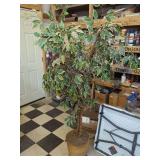 Artificial Variegated Ficus Tree in Woven Basket
