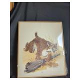 Gene Gray 1977 Wildcat Lynx Rufus Limited Edition Print and Official Wildcat Fan Certificate