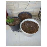 Garden Planters with Plant Growth