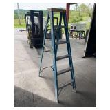 Werner 6FT Fiberglass Step Ladder