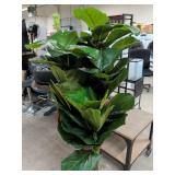 NEW - ARTIFICIAL FIG TREE IN WICKER BASKET 66 INCHES TALL