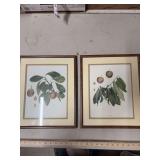 TWO PRINTS. FRAMED.