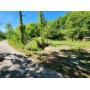 Approximately 30 acres at Absolute Online Auction