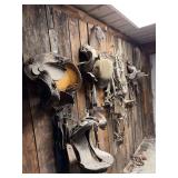 Assorted Leather Saddles and Equine Tack
