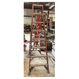 Werner Fiberglass Step Ladder