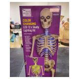HOME ACCENTS HOLIDAY- COLOR CHANGING LED 12ft SKELLY LIGHTING KIT