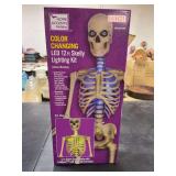 HOME ACCENTS HOLIDAY- COLOR CHANGING LED 12ft SKELLY LIGHTING KIT