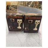 2 PC SET SKELETON LIGHTS